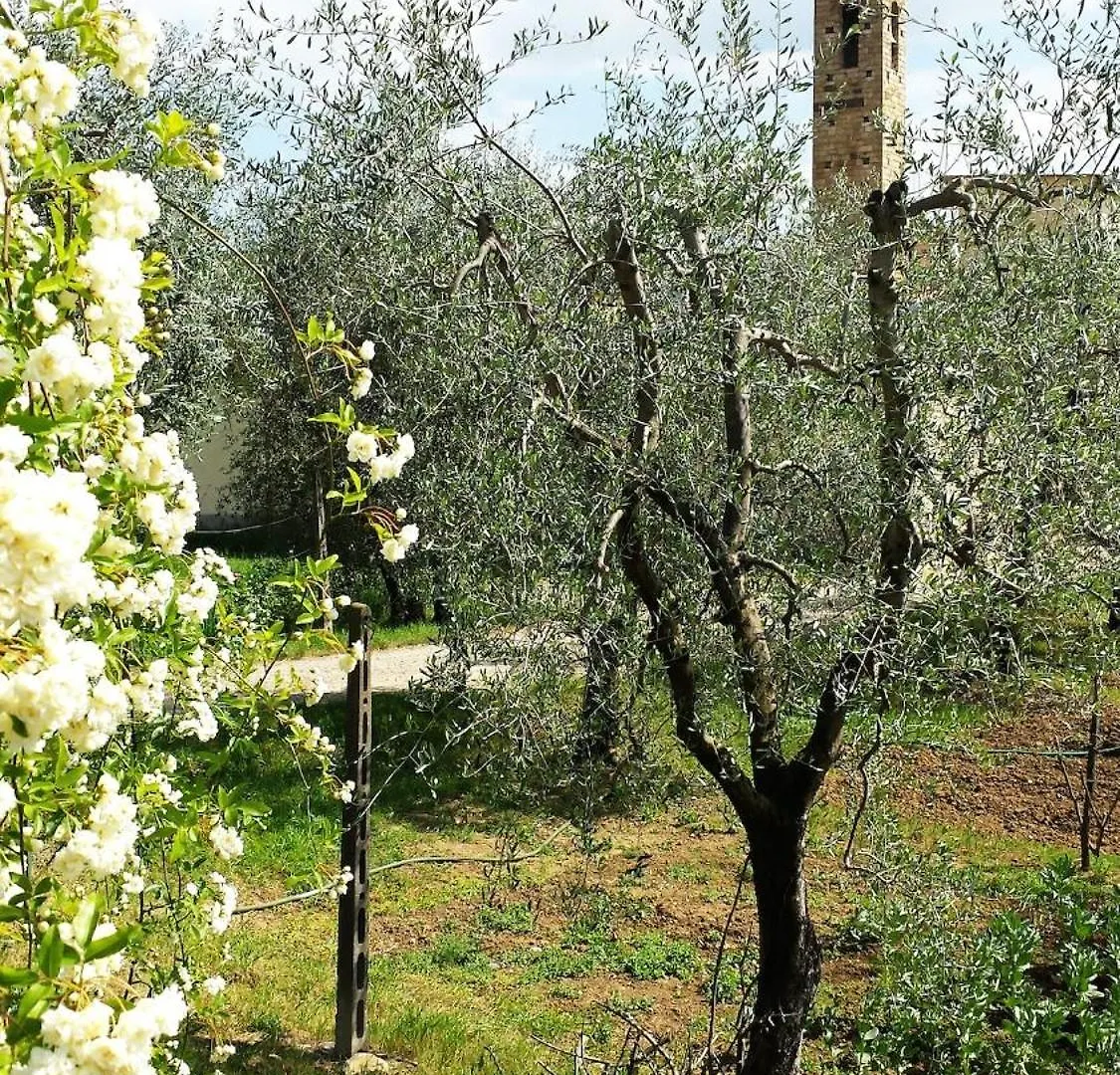 Lovely Apartment In Florencie